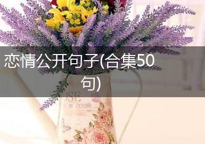 恋情公开句子(合集50句)