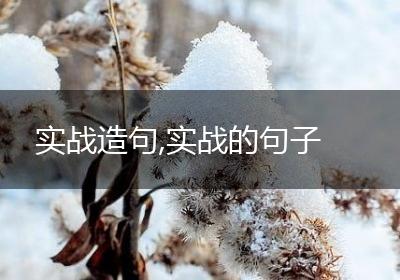 实战造句,实战的句子