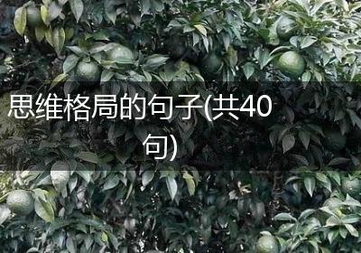 思维格局的句子(共40句)