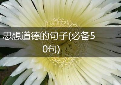 思想道德的句子(必备50句)