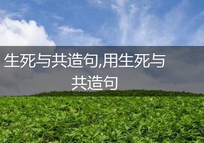 生死与共造句,用生死与共造句