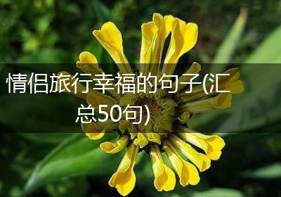 情侣旅行幸福的句子(汇总50句)