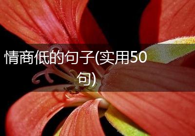 情商低的句子(实用50句)