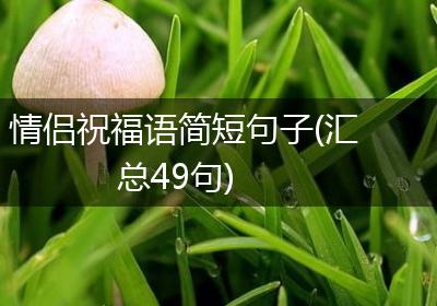 情侣祝福语简短句子(汇总49句)