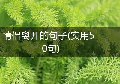 情侣离开的句子(实用50句)