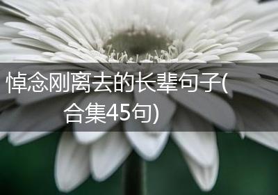悼念刚离去的长辈句子(合集45句)