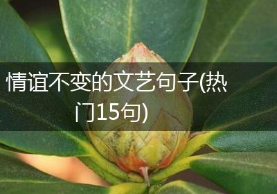 情谊不变的文艺句子(热门15句)