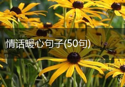 情话暖心句子(50句)