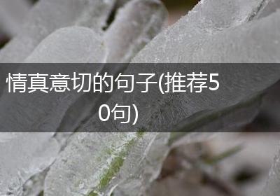 情真意切的句子(推荐50句)