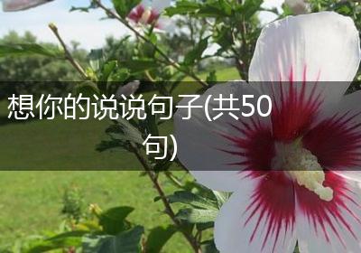 想你的说说句子(共50句)