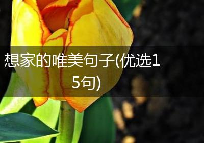 想家的唯美句子(优选15句)