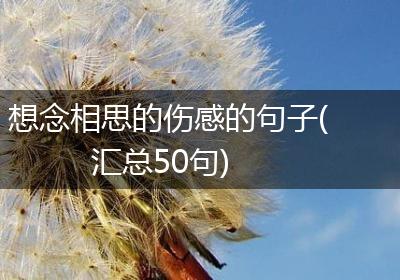 想念相思的伤感的句子(汇总50句)