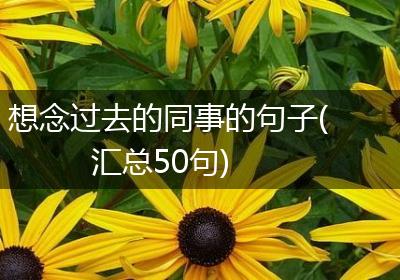 想念过去的同事的句子(汇总50句)