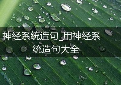 神经系统造句_用神经系统造句大全