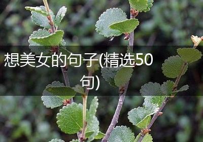想美女的句子(精选50句)