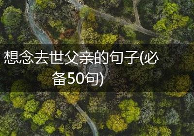 想念去世父亲的句子(必备50句)