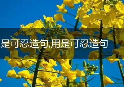是可忍造句,用是可忍造句