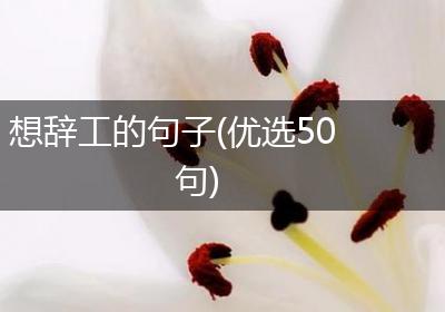 想辞工的句子(优选50句)
