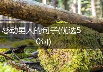 感动男人的句子(优选50句)