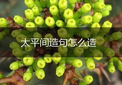 太平间造句怎么造