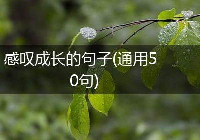 感叹成长的句子(通用50句)