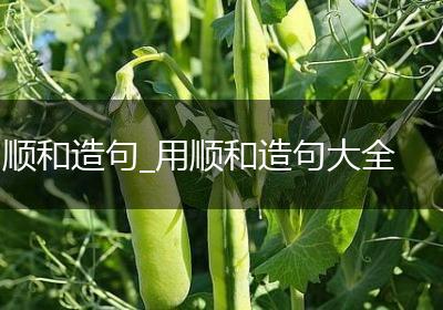 顺和造句_用顺和造句大全