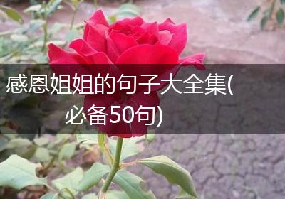 感恩姐姐的句子大全集(必备50句)