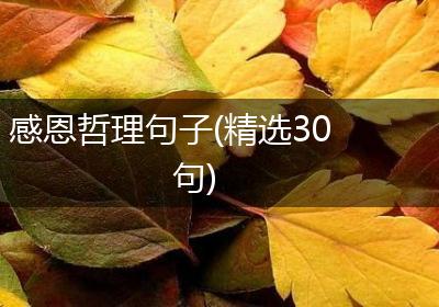 感恩哲理句子(精选30句)
