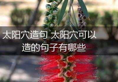 太阳穴造句 太阳穴可以造的句子有哪些