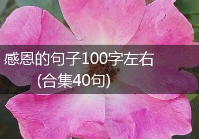 感恩的句子100字左右(合集40句)