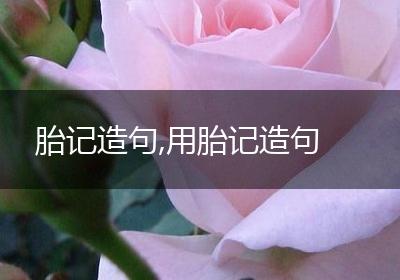 胎记造句,用胎记造句