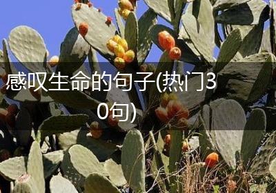 感叹生命的句子(热门30句)