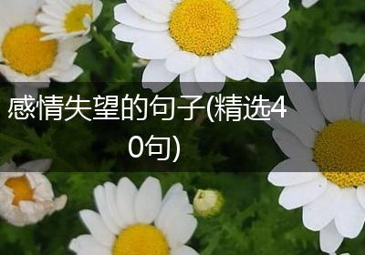 感情失望的句子(精选40句)