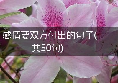 感情要双方付出的句子(共50句)