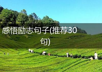 感悟励志句子(推荐30句)
