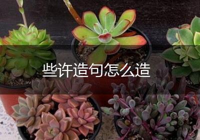 些许造句怎么造