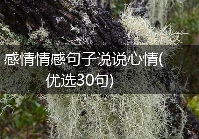 感情情感句子说说心情(优选30句)