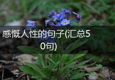 感慨人性的句子(汇总50句)