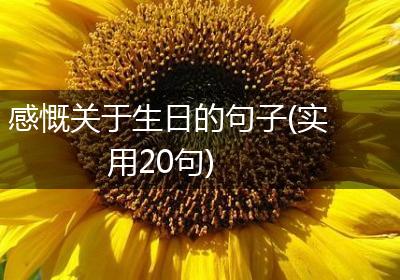 感慨关于生日的句子(实用20句)