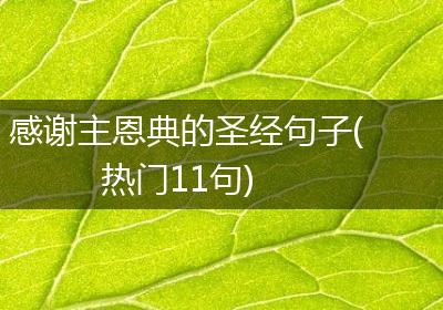 感谢主恩典的圣经句子(热门11句)