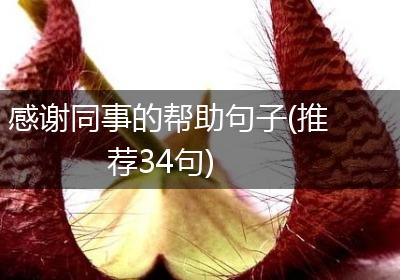 感谢同事的帮助句子(推荐34句)