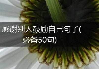 感谢别人鼓励自己句子(必备50句)