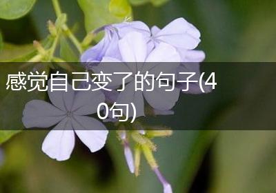感觉自己变了的句子(40句)