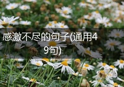 感激不尽的句子(通用49句)