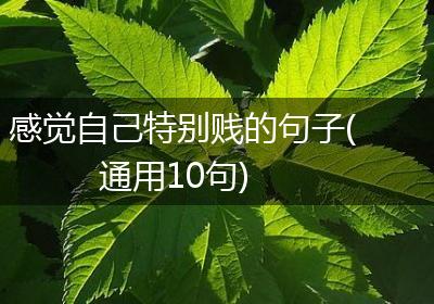 感觉自己特别贱的句子(通用10句)