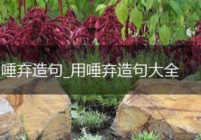 唾弃造句_用唾弃造句大全