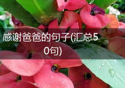 感谢爸爸的句子(汇总50句)