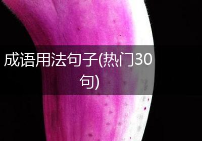 成语用法句子(热门30句)
