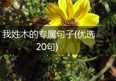 我姓木的专属句子(优选20句)