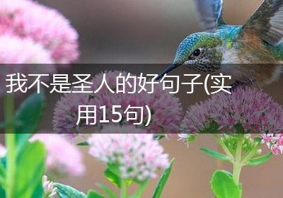 我不是圣人的好句子(实用15句)